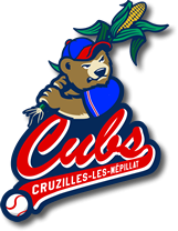Cubs Academy Baseball